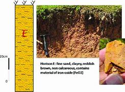 Image result for Iron Oxide Soil