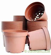 Image result for Euka Plant Plastic