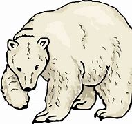 Image result for Polar Bear Clip Art Black and White