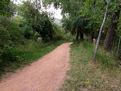 Image result for Direct My Path