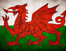 Image result for Welsh Hair