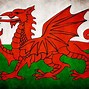 Image result for Welsh Dragon Flag