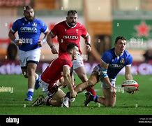 Image result for Garbisi Rugby