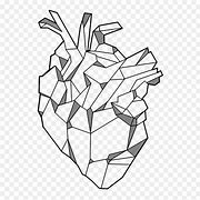 Image result for Geometric Anatomical Heart