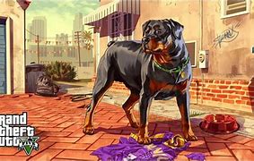 Image result for GTA 5 Dog