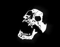 Image result for Skull with Black Hat