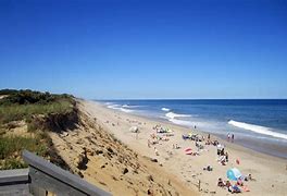 Image result for Cape Cod Beach