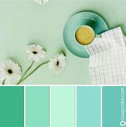 Image result for Menta Verde Dulce