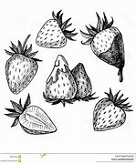 Image result for Strawberry Line Art Drawing