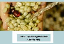 Image result for Unroasted Portrait Coffee Beans