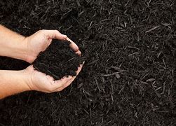 Image result for Mulch Pics