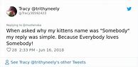 Image result for Funny Pet Names