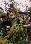 Image result for David Stiles Tarzan Treehouse