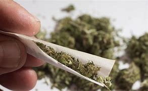 Image result for Ganja Drug