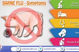 Image result for Swine Flu Rash