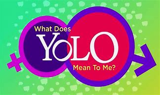 Image result for What Does Yolo Mean