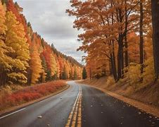 Image result for Fall Road Trip