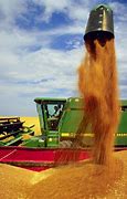 Image result for Wheat Harvest Pic