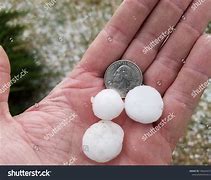 Image result for Quarter Size Dollars