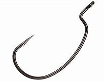 Image result for Worm Hook Rig