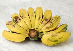 Image result for Pisang Cokat