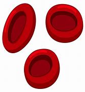 Image result for Blood Cells Clip Art