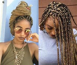 Image result for Human Hair Braid Extensions