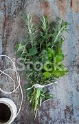 Image result for Bouquet Garni Herbs Drawing