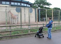 Image result for Marwell Zoo