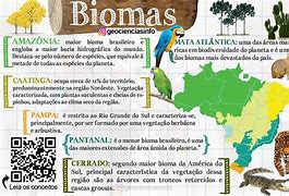 Image result for Mapa De Biomas