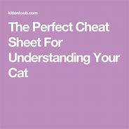 Image result for Cat Crimes Cheat Sheet