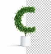 Image result for Green Tree C