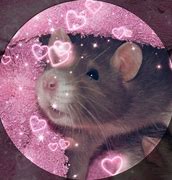 Image result for Seroxen Rat PFP