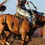 Image result for Real Rodeo Cowboys