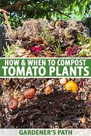 Image result for Big Tomato Compost