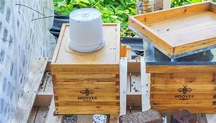 Image result for Internal Bee Hive Feeders