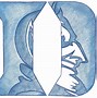 Image result for Duke Emblem