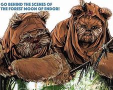 Image result for Star Wars Female Ewok