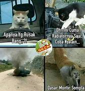 Image result for Muka Kucing Sedih Meme