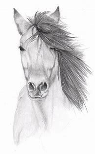 Image result for Simple Pencil Art Drawing