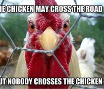 Image result for Crazy Chicken Meme