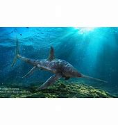 Image result for Eurhinosaurus