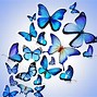 Image result for Butterfly Wallpaper Blue Desktop Computer