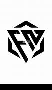 Image result for Champion Logo FN