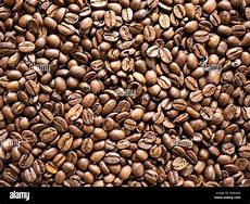 Image result for Minimally Roasted Coffee Beans