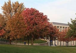 Image result for Macomb Community College