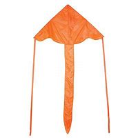 Image result for Orange Kite Flying