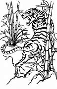 Image result for Tiger Sketch Outline