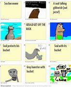 Image result for Crazy Sea Lion Meme