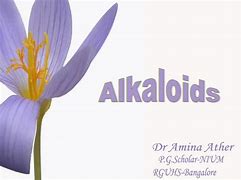 Image result for Alkaloid Chemistry